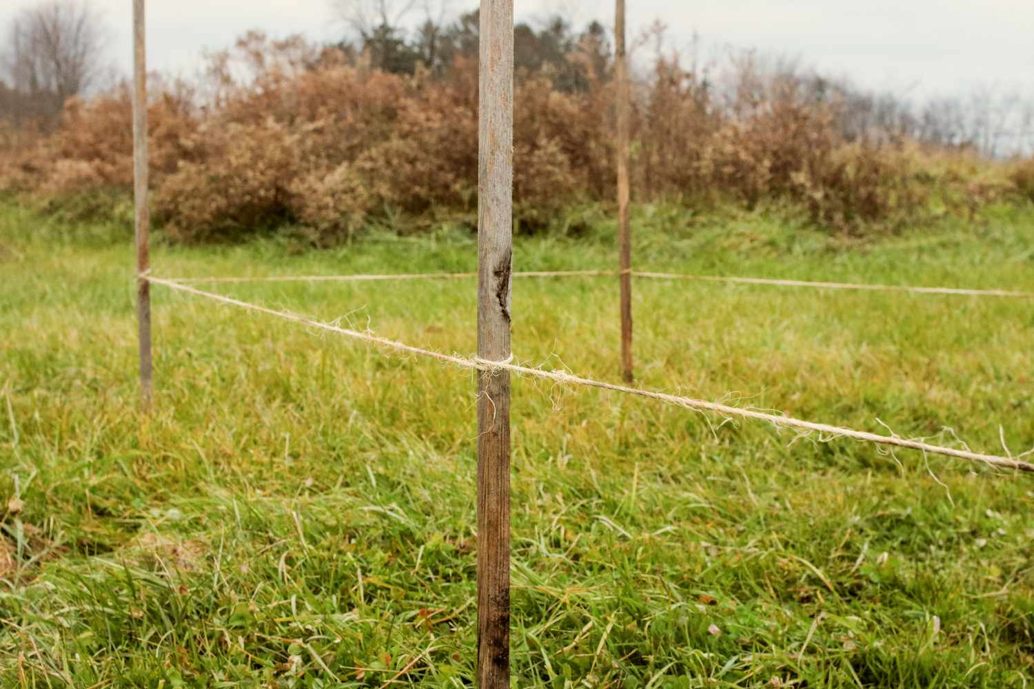 Boundaries of the lasagna garden defined using twine and wooden stakes.